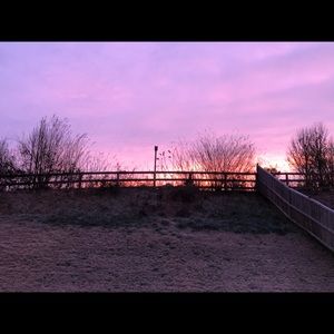 Meet your Posher, Bailey